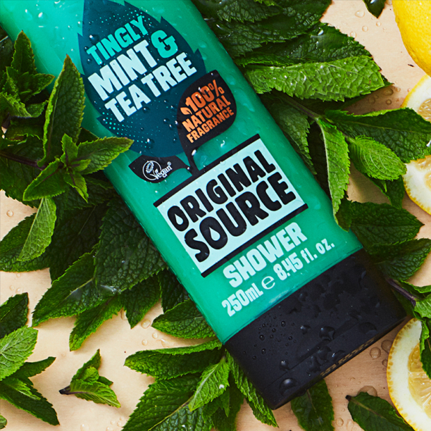 Original Source Mint & Tea Tree Shower Gel Original Source Australia
